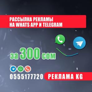 Рассылка ( Реклама ) в группах Whats app,Telegram за 300 сом