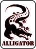 .Alligator - Беспроводные охранные сигнализации, видеонаблюдение, домофоны.